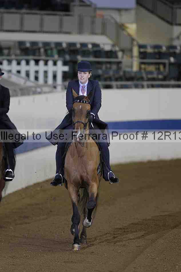 Proof 12r13_0288