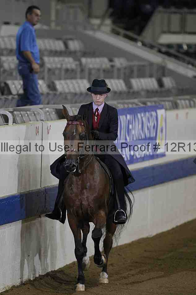 Proof 12r13_0289
