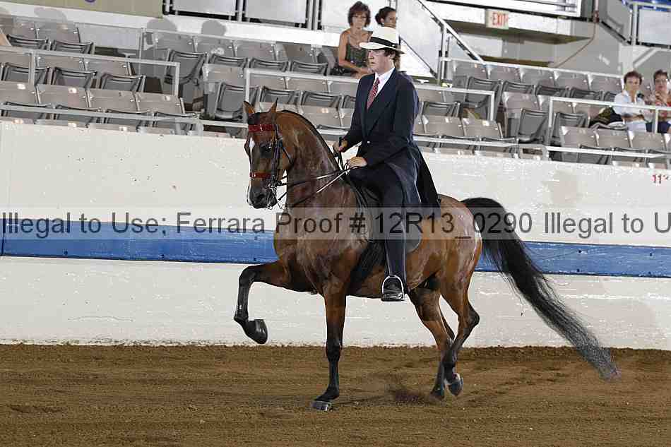 Proof 12r13_0290