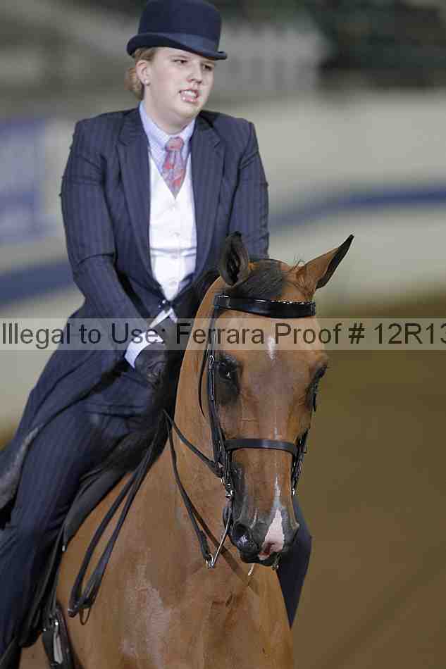 Proof 12r13_0291