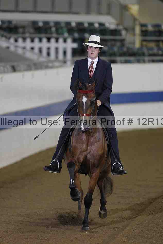 Proof 12r13_0293