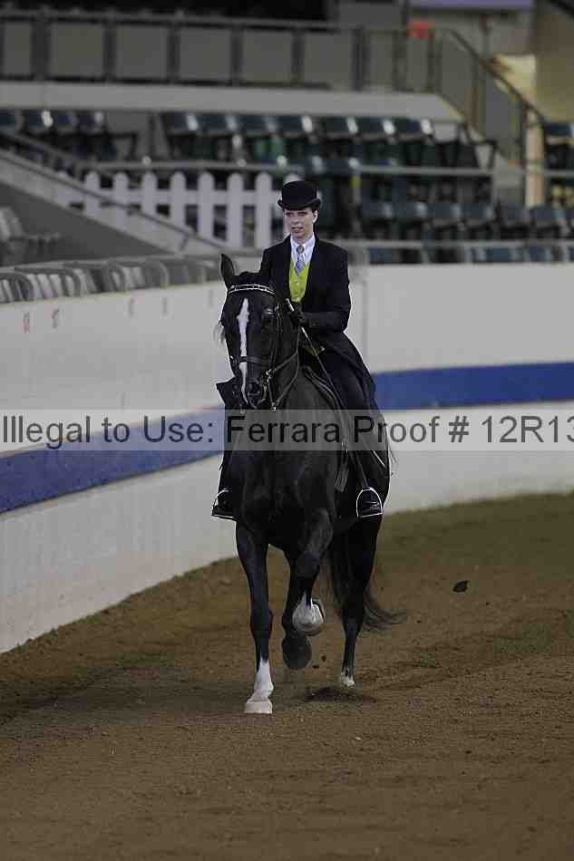 Proof 12r13_0294
