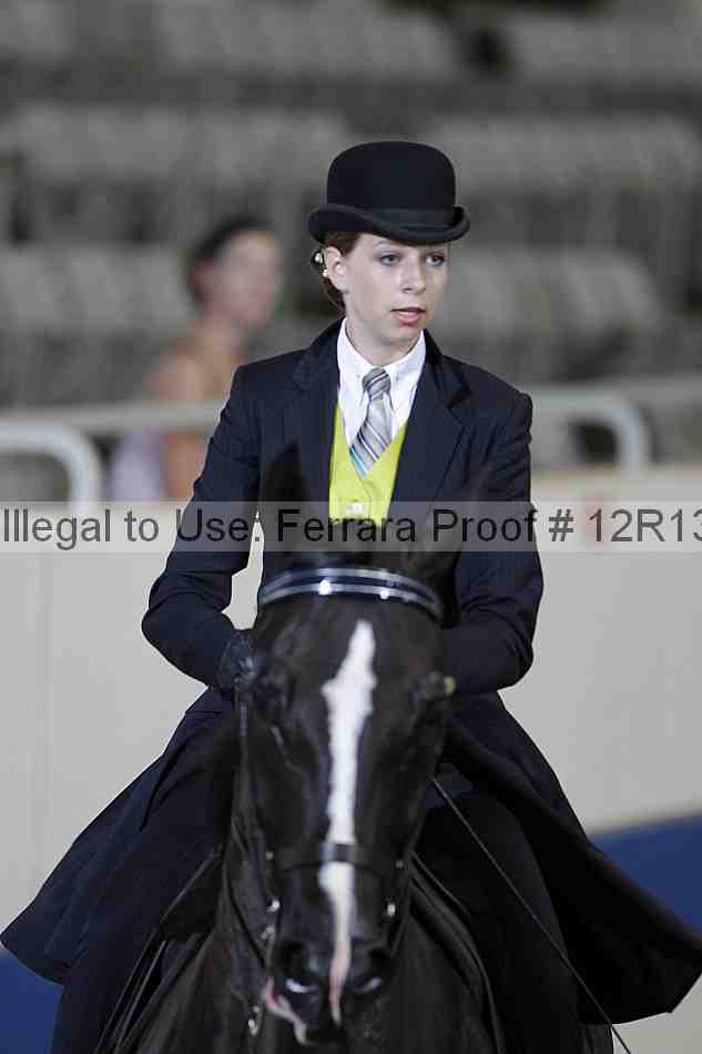 Proof 12r13_0295