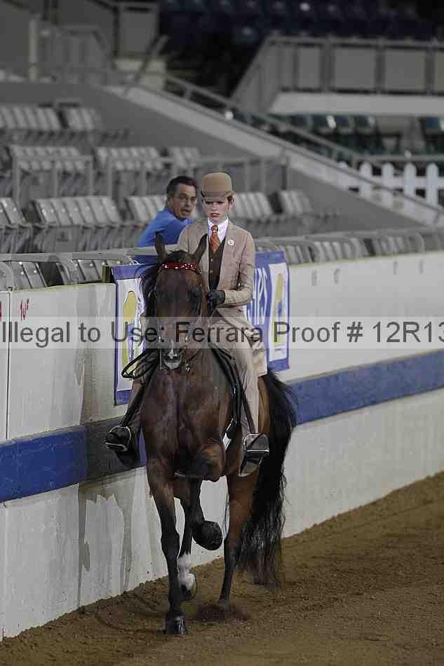 Proof 12r13_0296