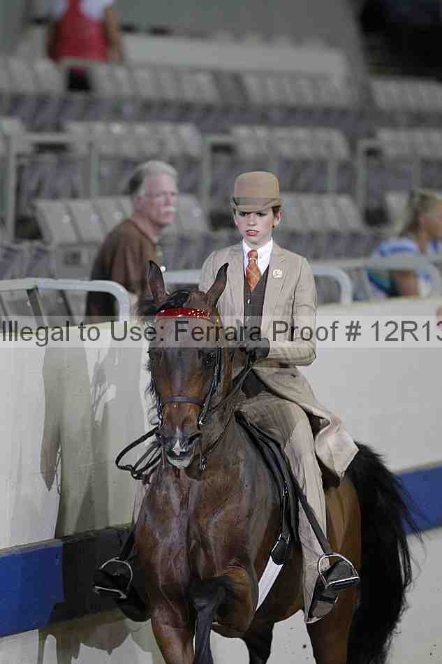 Proof 12r13_0297