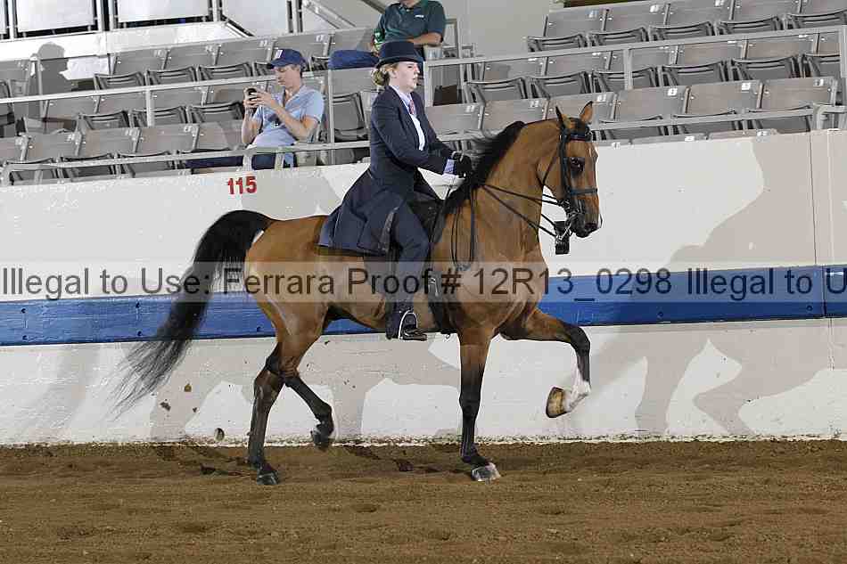 Proof 12r13_0298