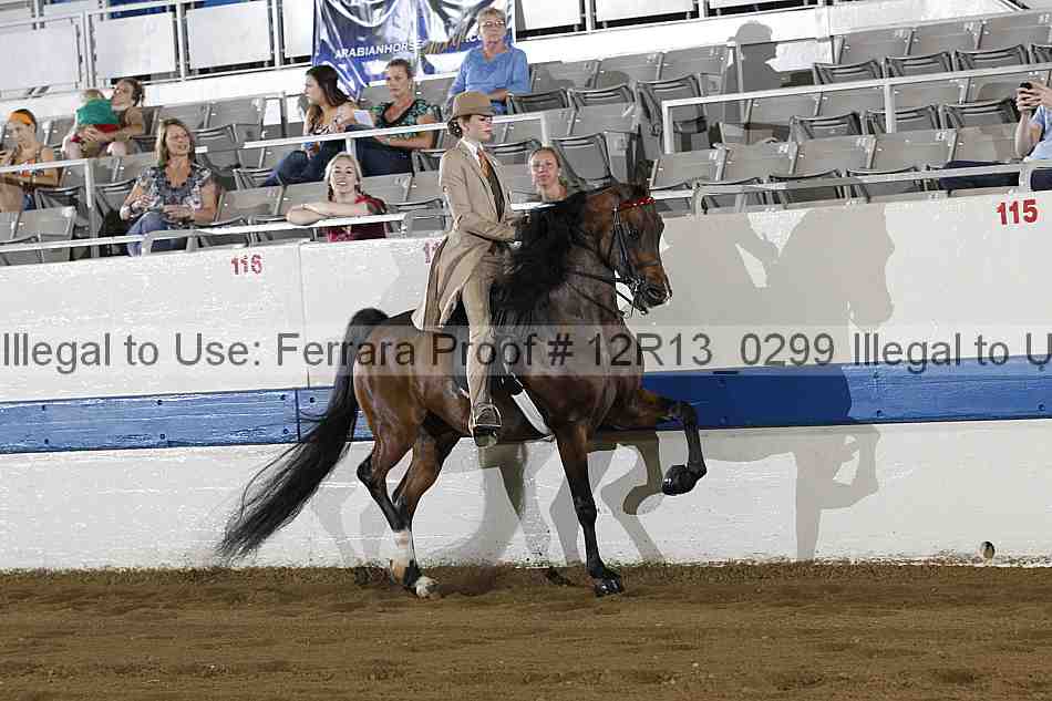 Proof 12r13_0299