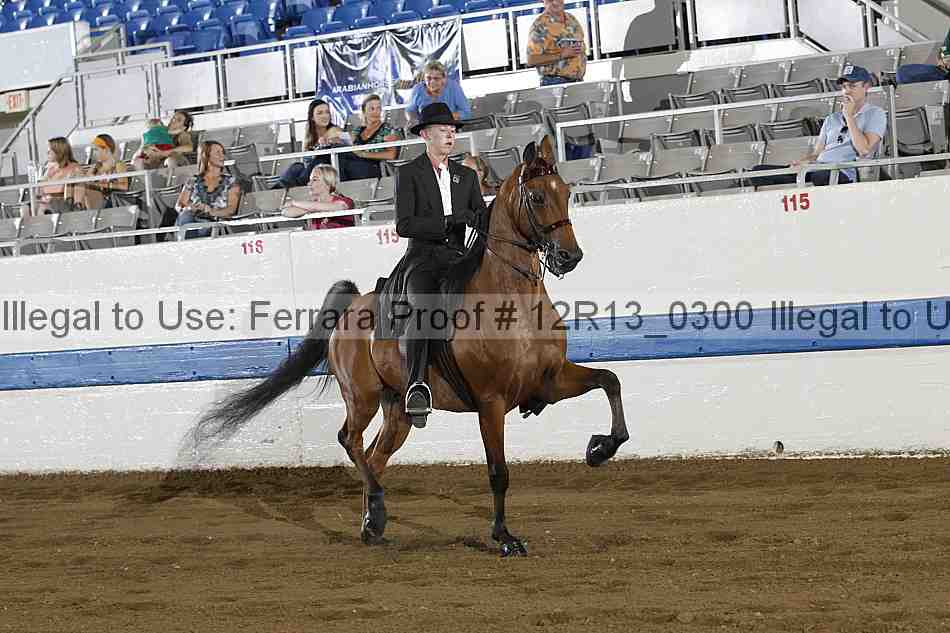Proof 12r13_0300
