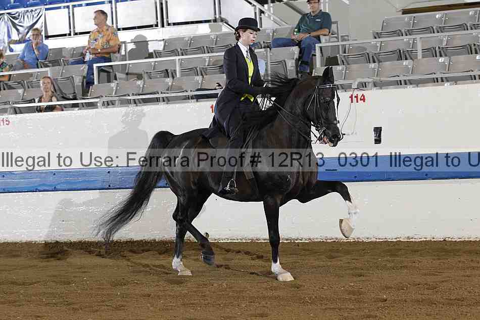 Proof 12r13_0301