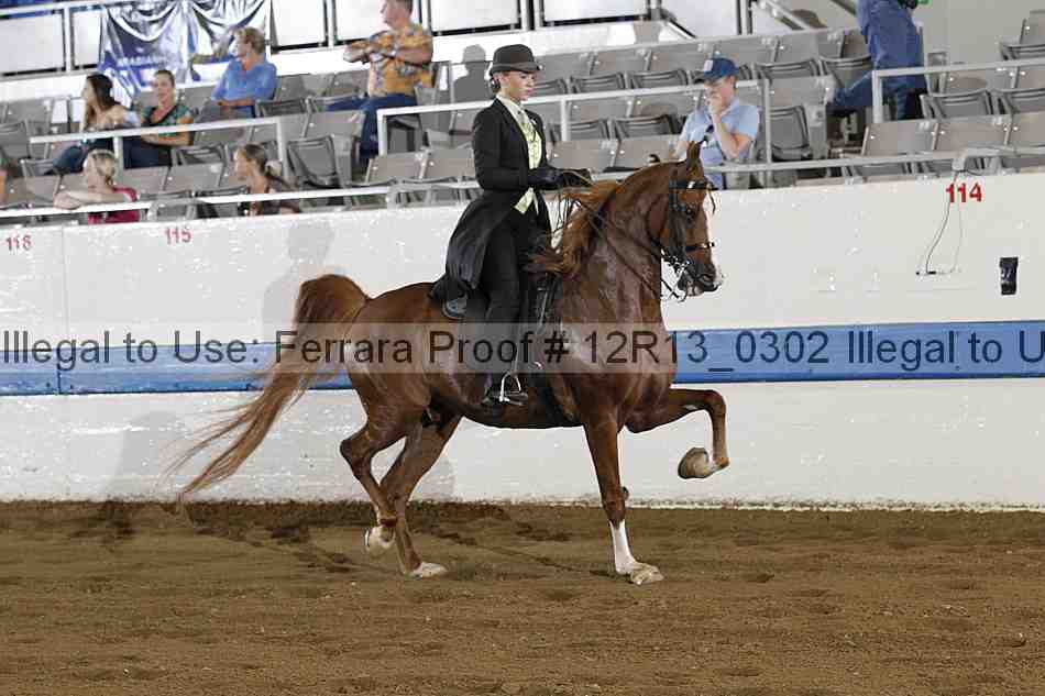 Proof 12r13_0302
