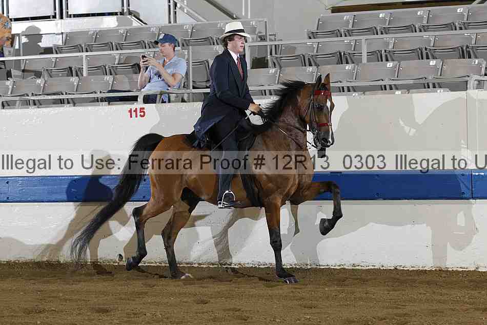 Proof 12r13_0303