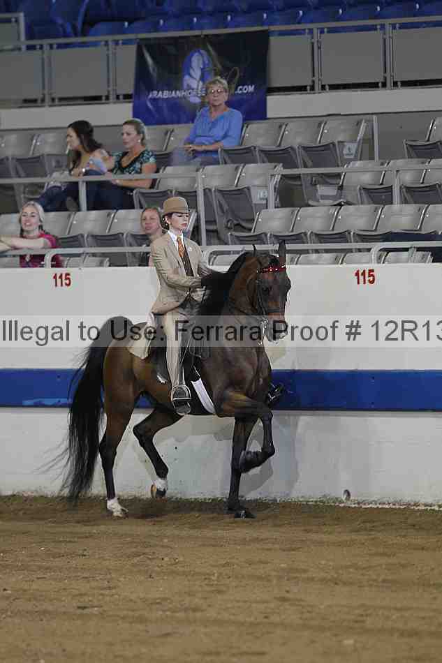 Proof 12r13_0305