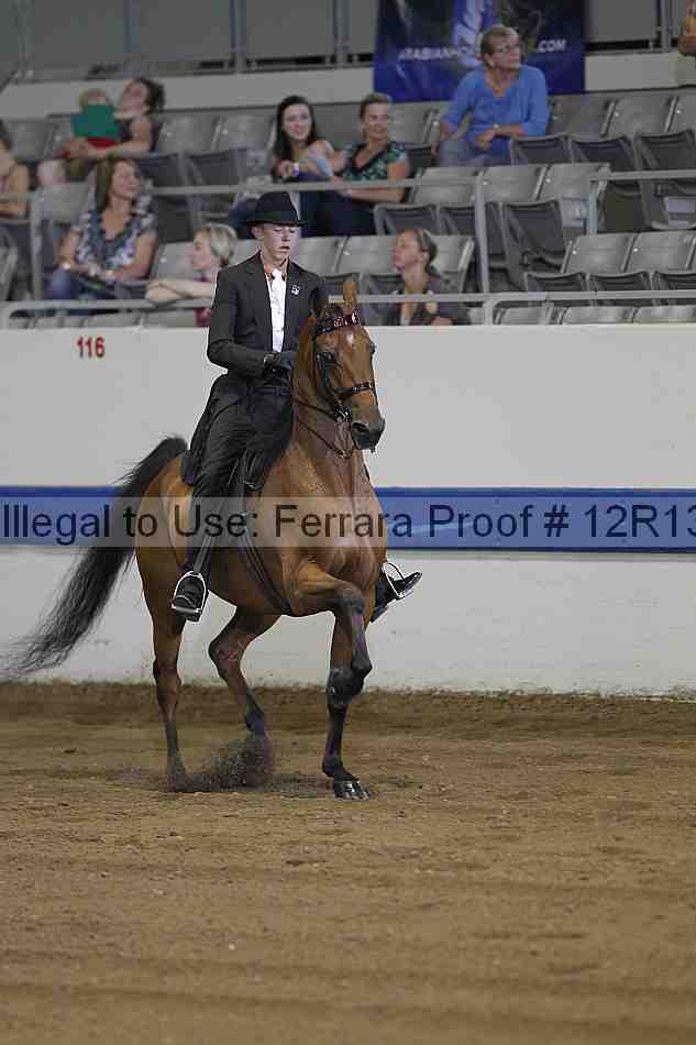 Proof 12r13_0306