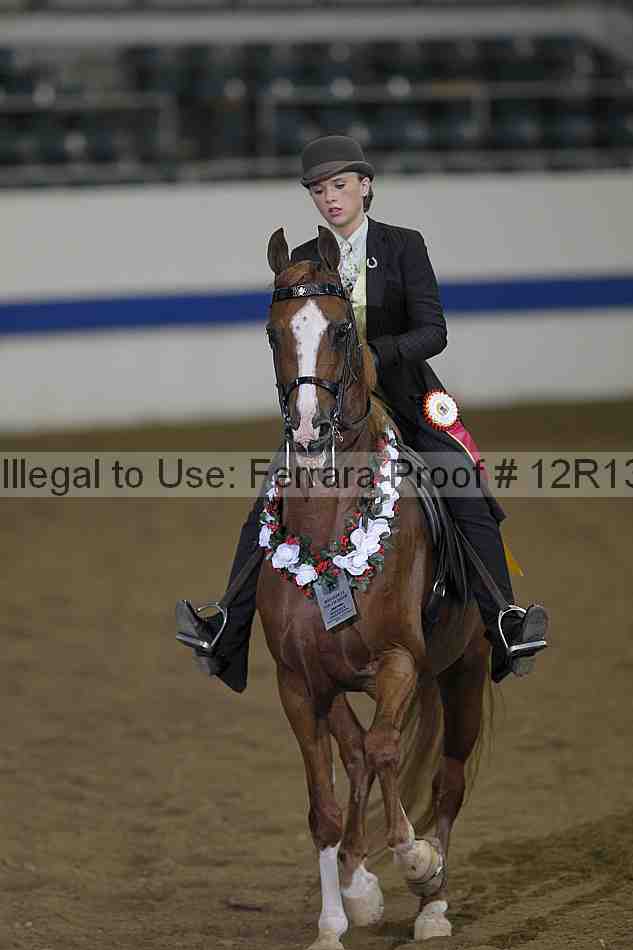 Proof 12r13_0309