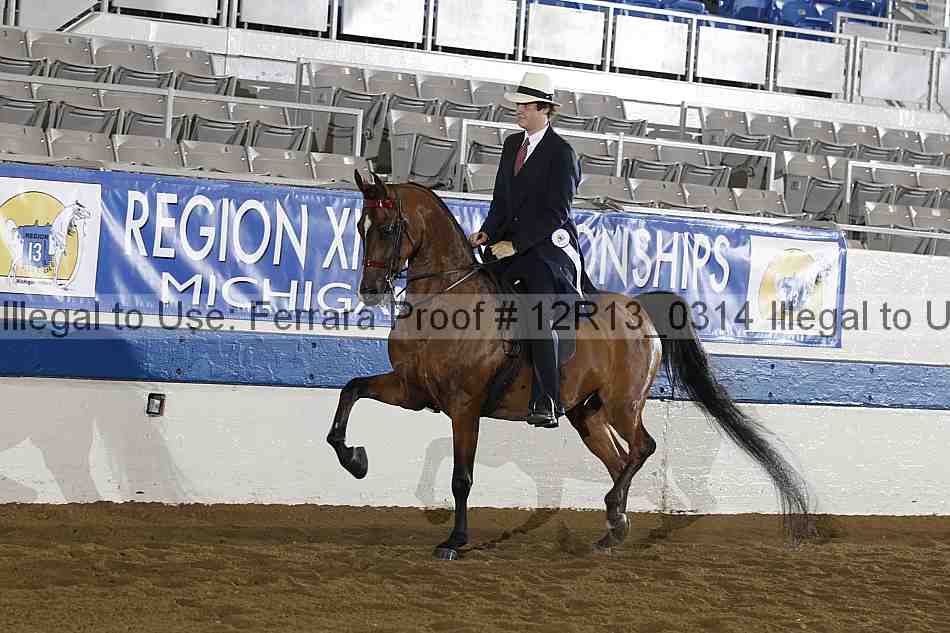 Proof 12r13_0314
