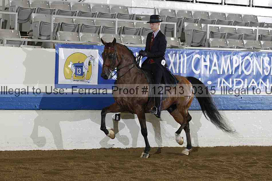 Proof 12r13_0315