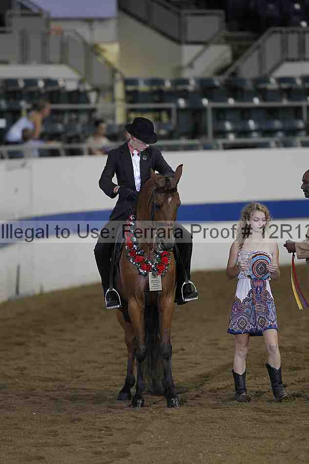 Proof 12r13_0316