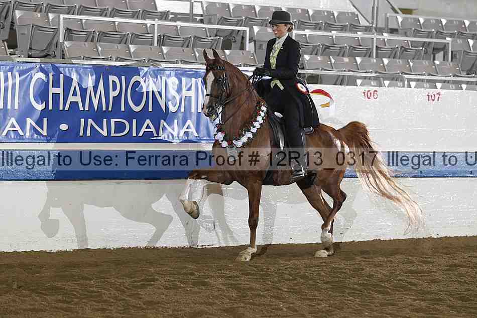 Proof 12r13_0317