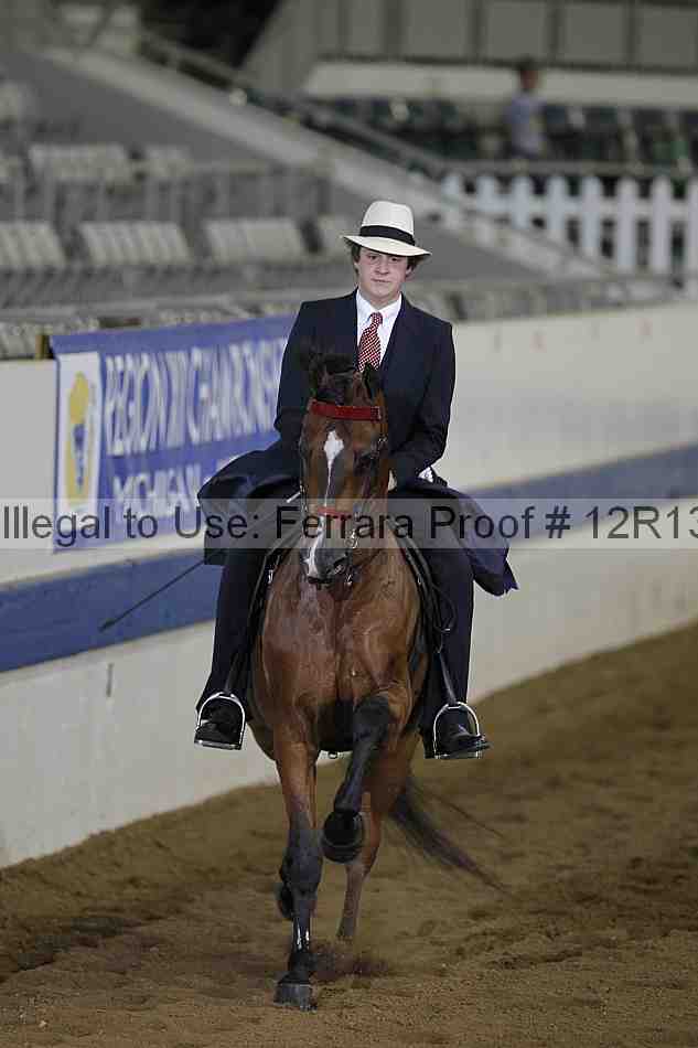 Proof 12r13_0321