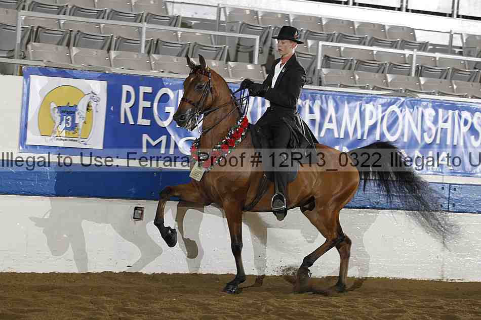 Proof 12r13_0322