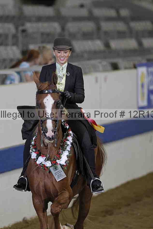 Proof 12r13_0325