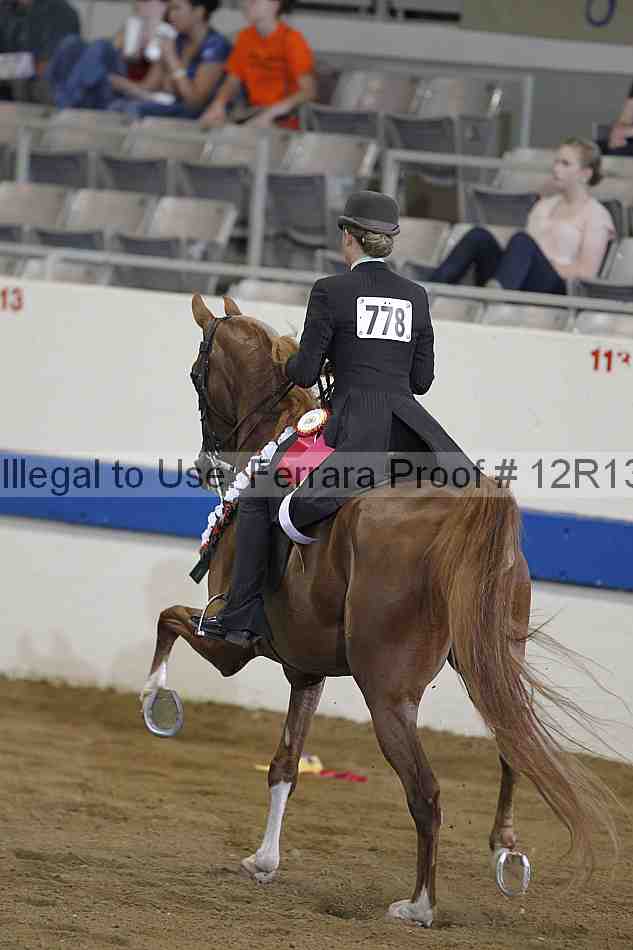 Proof 12r13_0328
