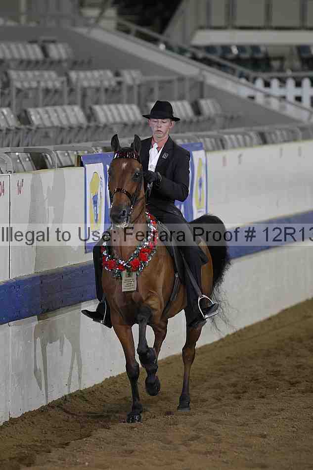 Proof 12r13_0329