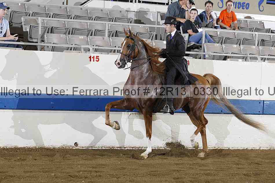 Proof 12r13_0330
