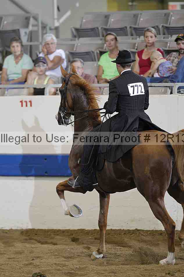 Proof 12r13_0333