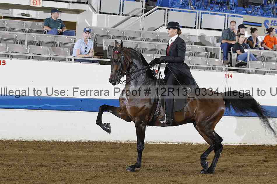 Proof 12r13_0334