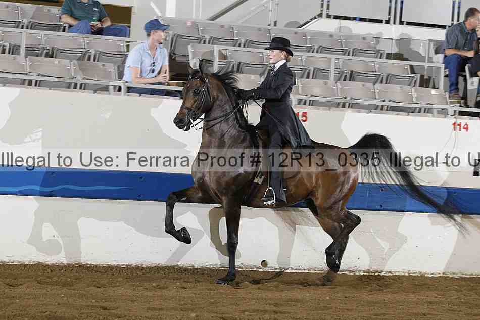 Proof 12r13_0335