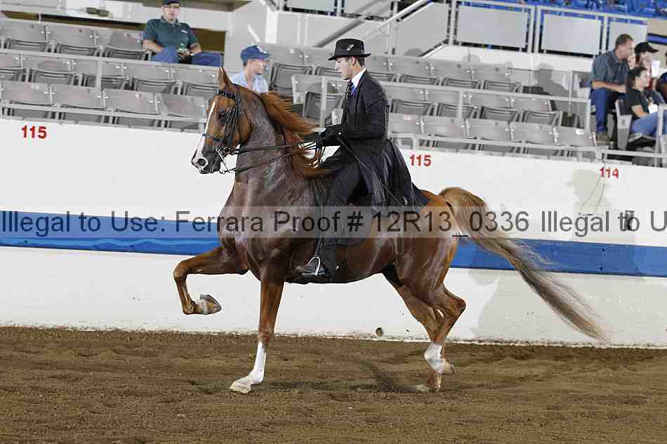 Proof 12r13_0336