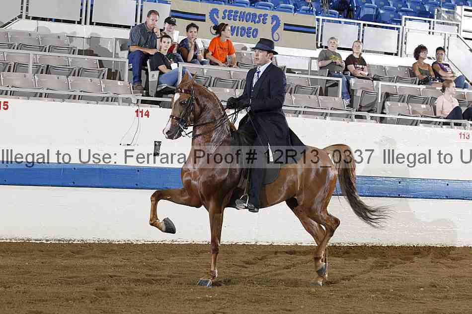 Proof 12r13_0337