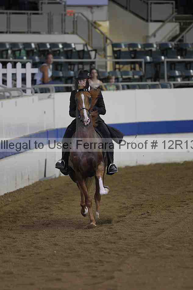 Proof 12r13_0339