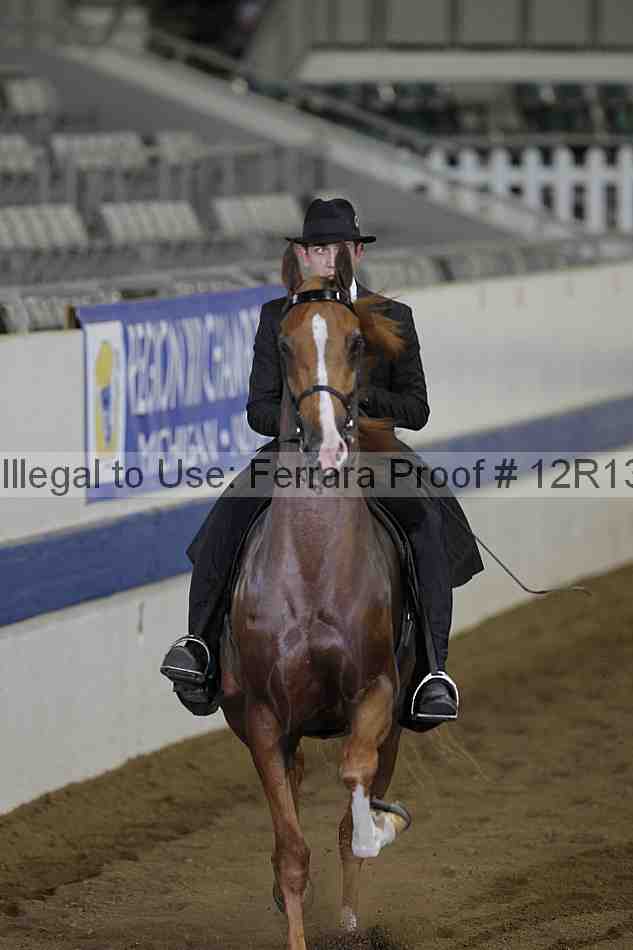 Proof 12r13_0340