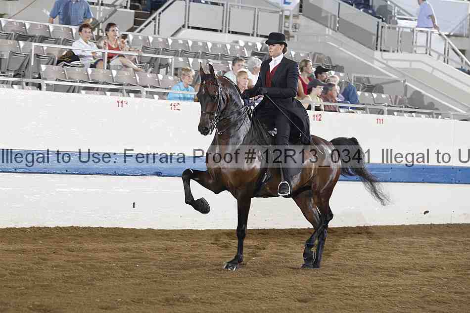 Proof 12r13_0341