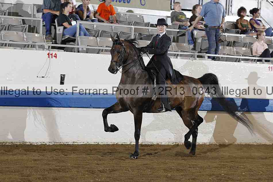 Proof 12r13_0343