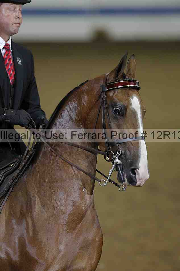 Proof 12r13_0344