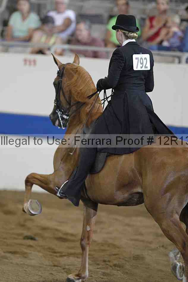 Proof 12r13_0346