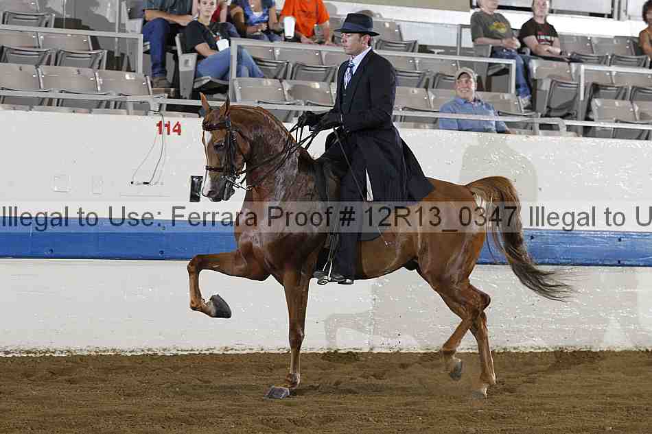 Proof 12r13_0347