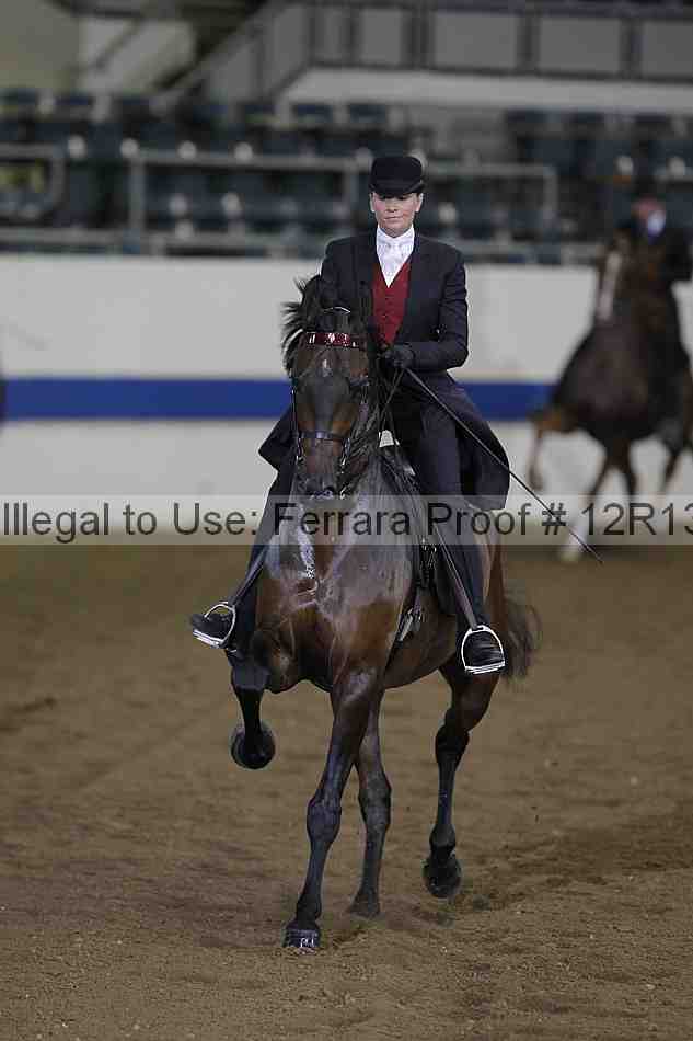 Proof 12r13_0348