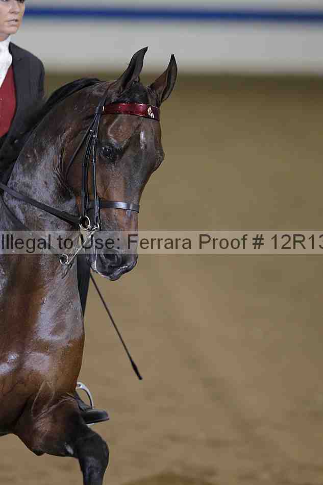 Proof 12r13_0350