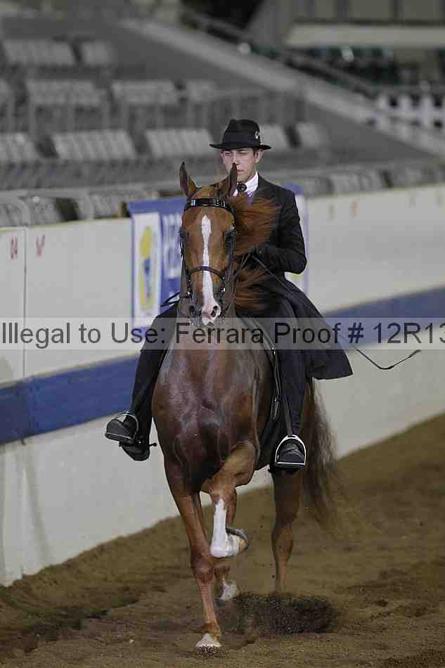 Proof 12r13_0351