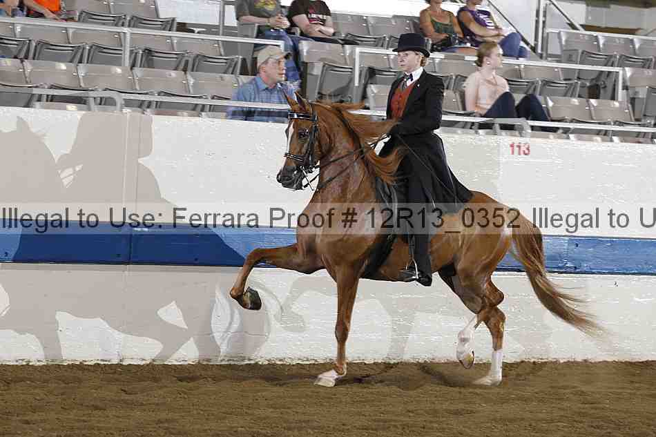 Proof 12r13_0352