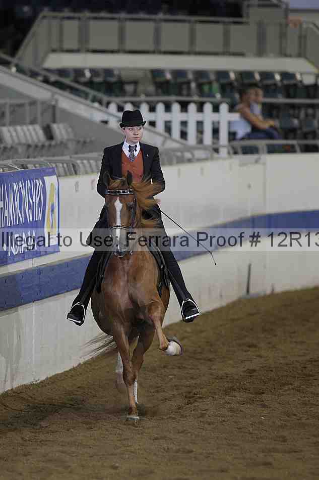 Proof 12r13_0353