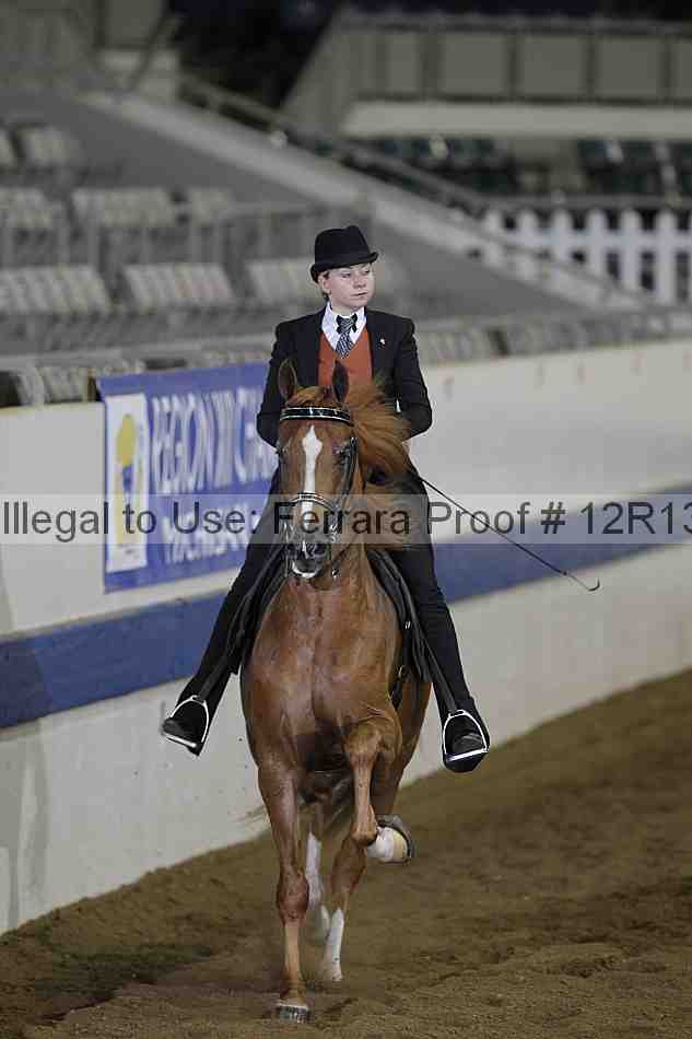 Proof 12r13_0354