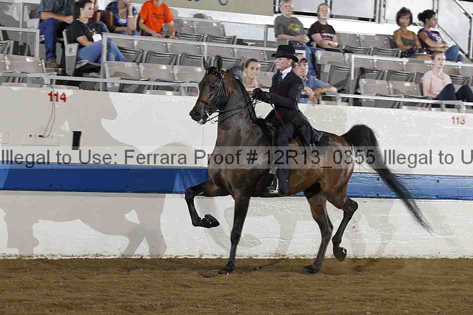 Proof 12r13_0355