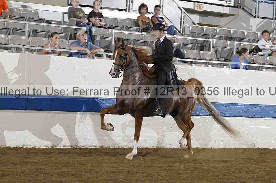 Proof 12r13_0356
