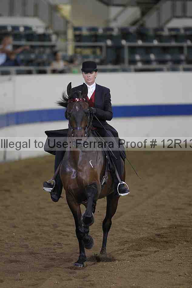 Proof 12r13_0358