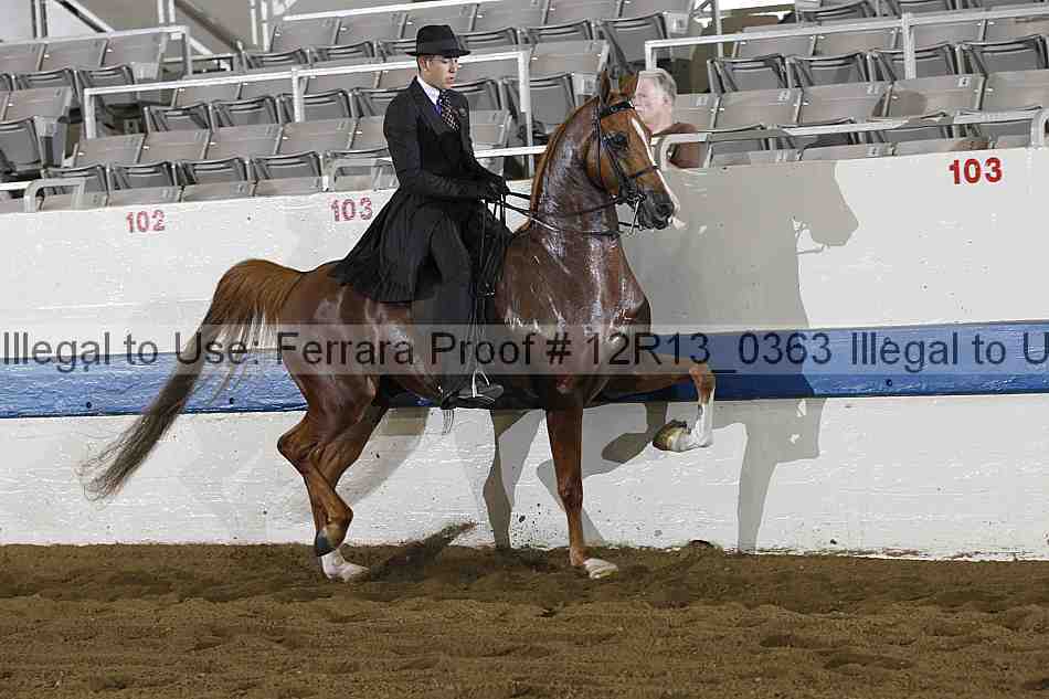 Proof 12r13_0363